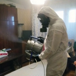 Дезинфекция от клопов в Новоульяновске