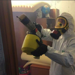 Уничтожение клопов в квартире. Новоульяновск